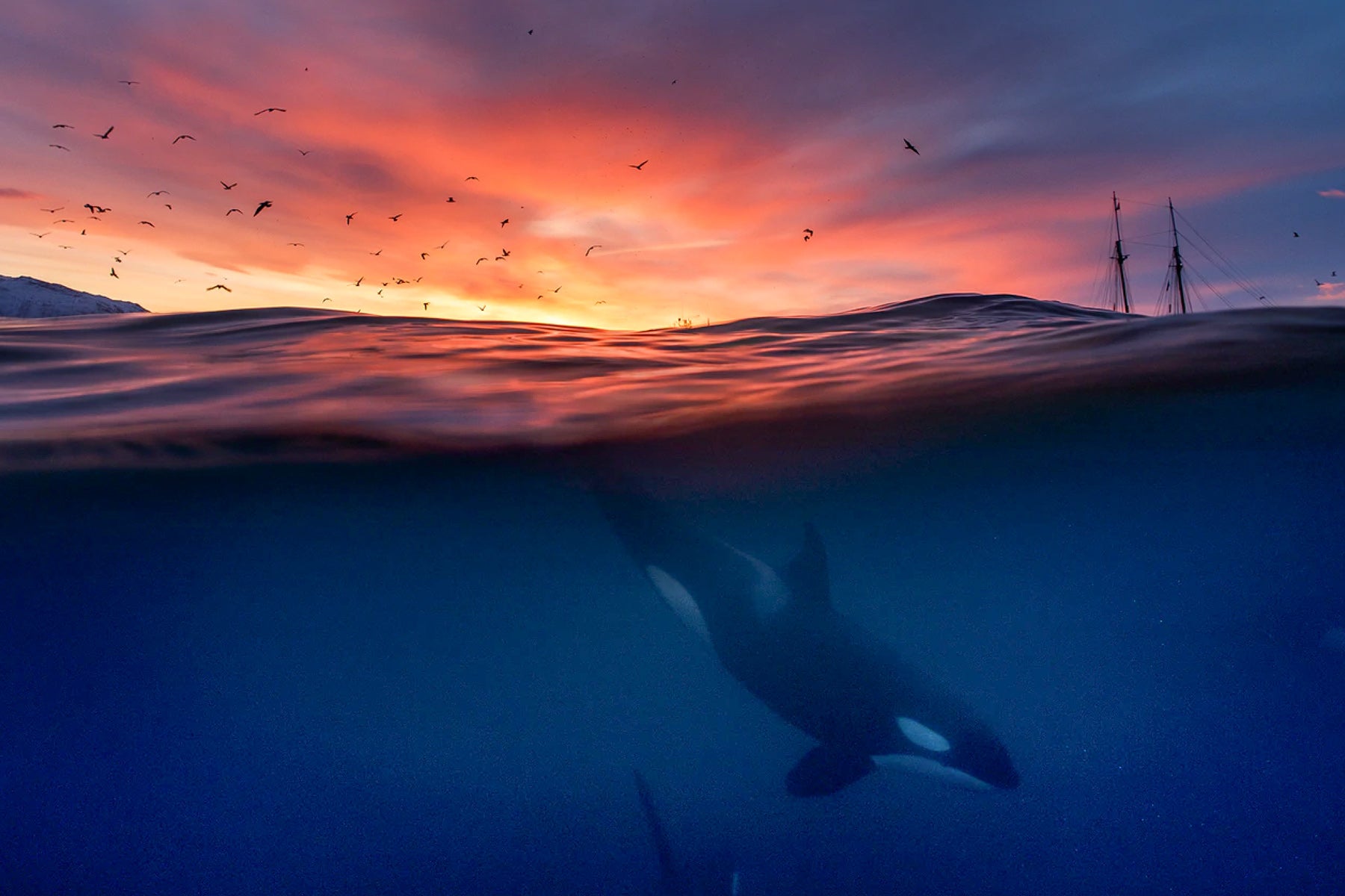 Meeting the King of the Sea