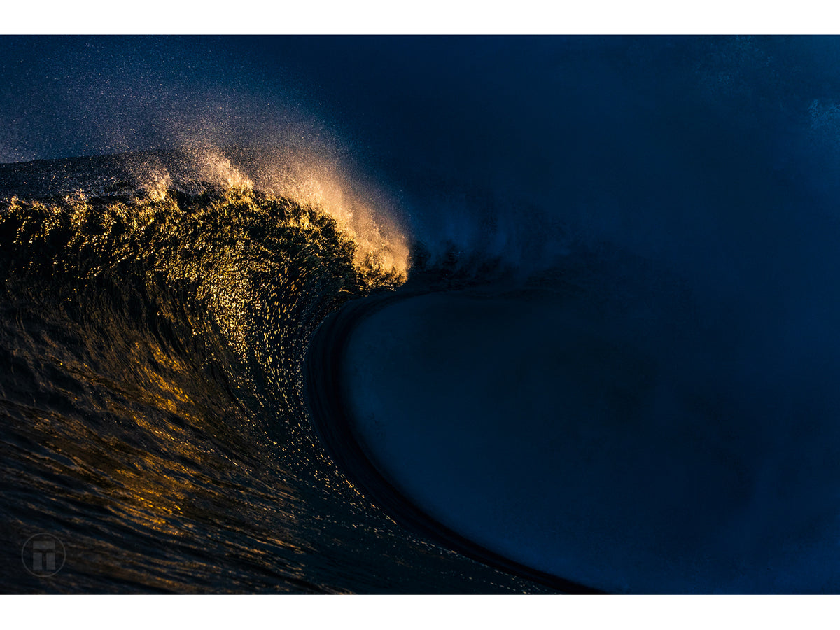 "Cutting Shade" - Fine Art Print