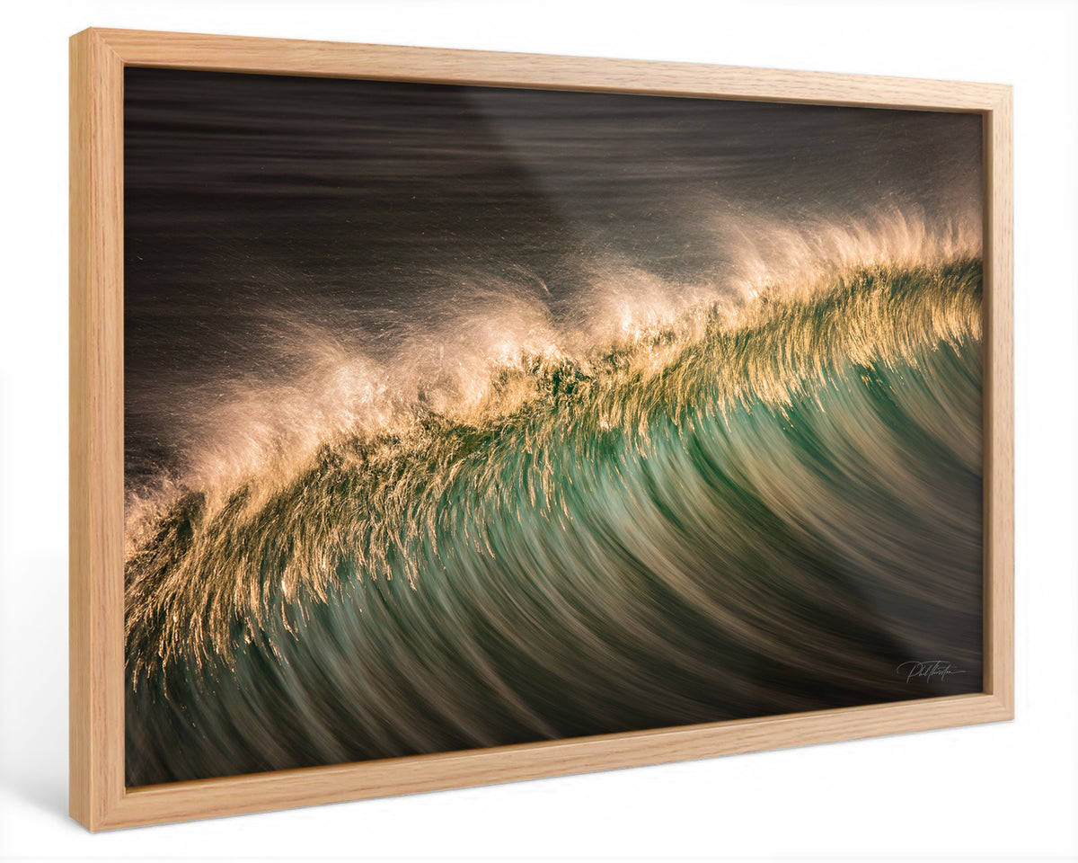 "Feather" - Fine Art Print