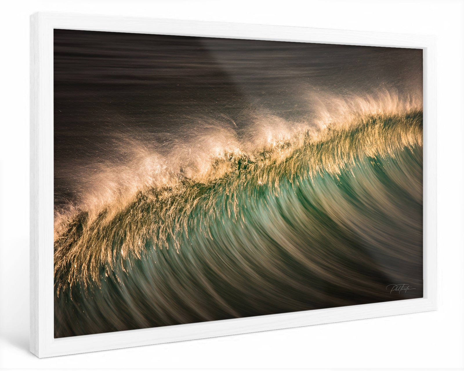 "Feather" - Fine Art Print