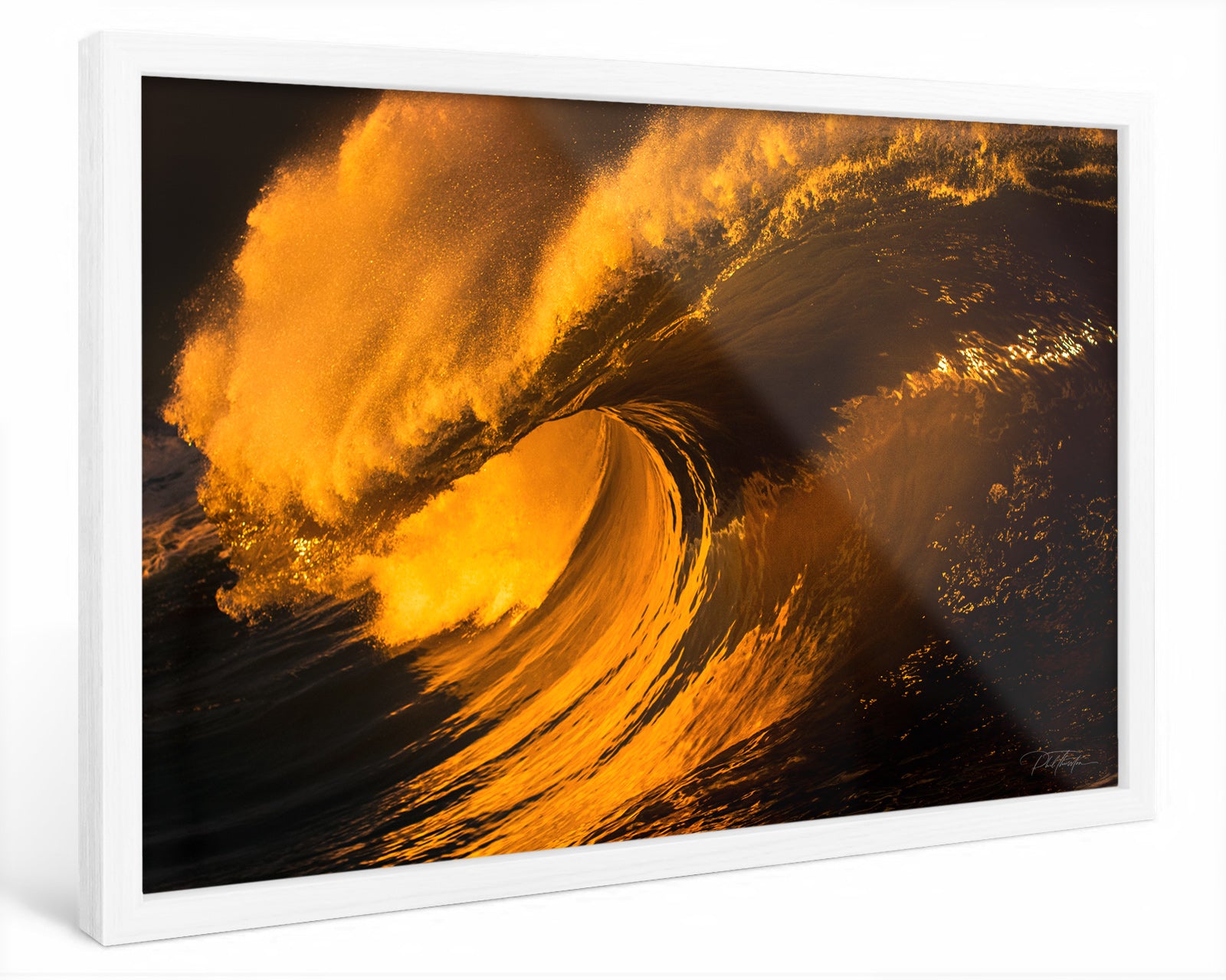 "Heart of Gold" - Fine Art Print