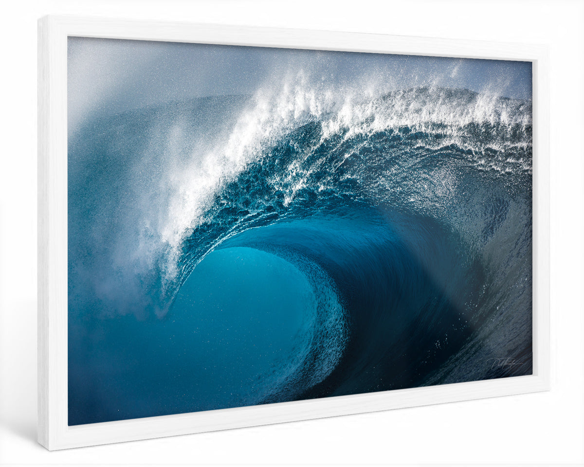 "Heart of the South" - Fine Art Print