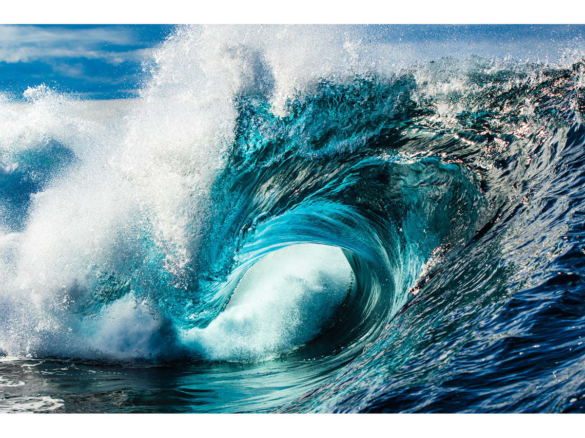 "Lion Heart" - Fine Art Print