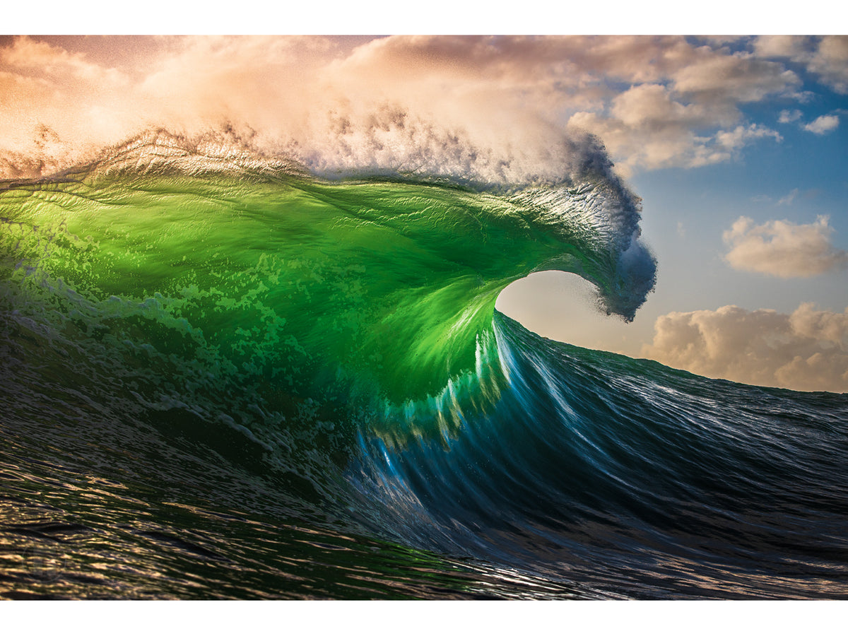 "Loyalty" - Fine Art Print