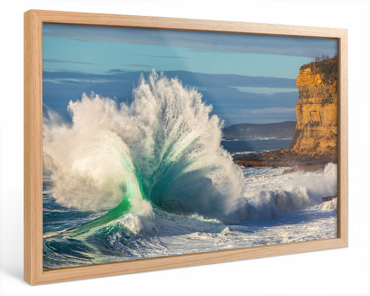 "Roar" - Fine Art Print