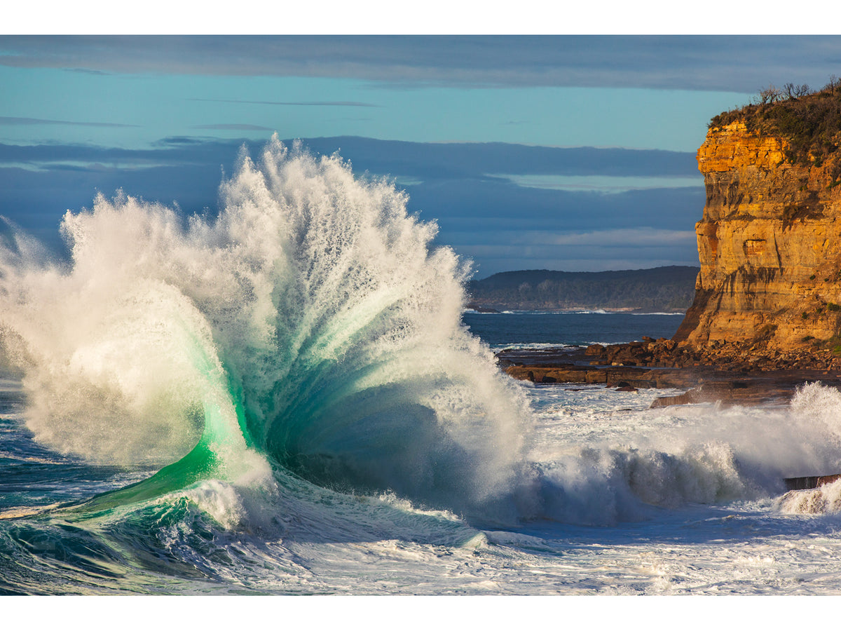 "Roar" - Fine Art Print