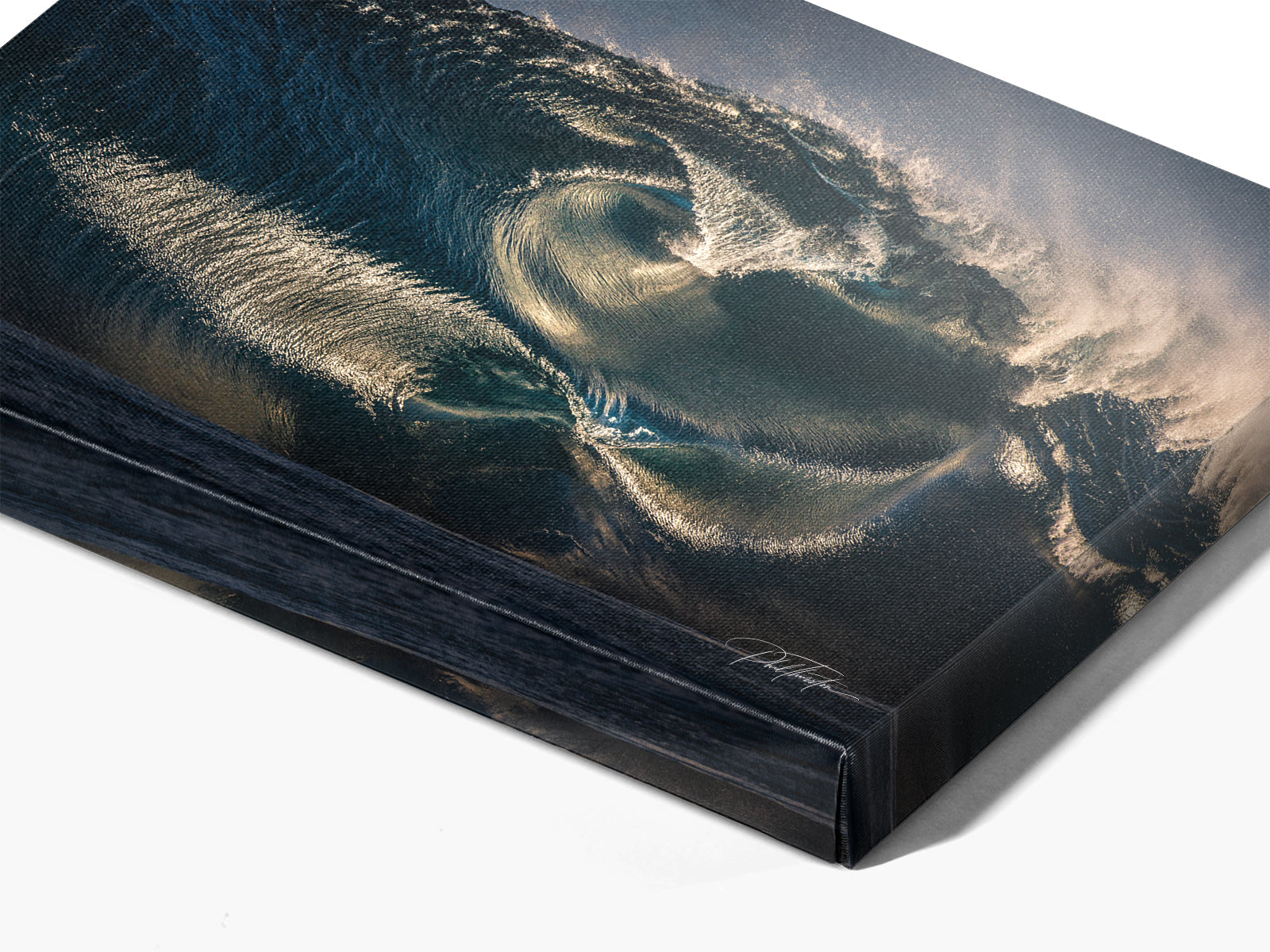 "Twin Fin" - Fine Art Print