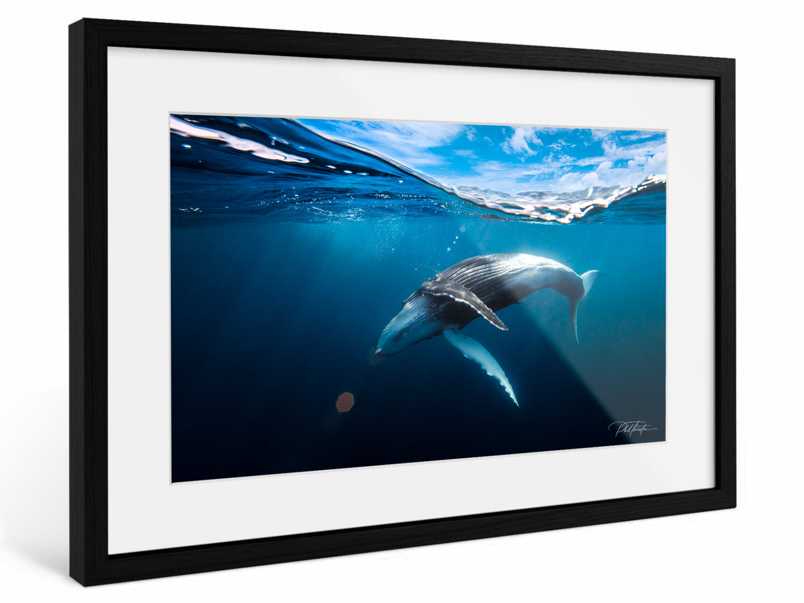 "A Magical Moment" - Fine Art Print