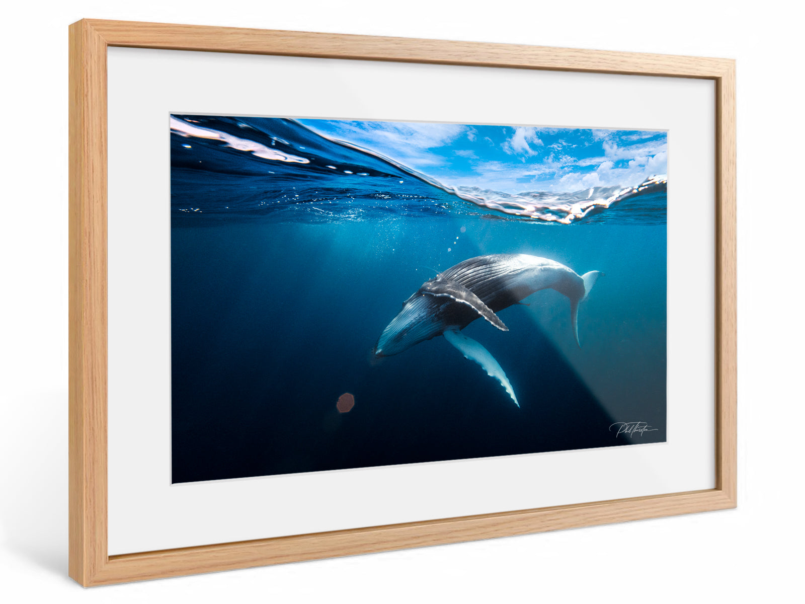 "A Magical Moment" - Fine Art Print