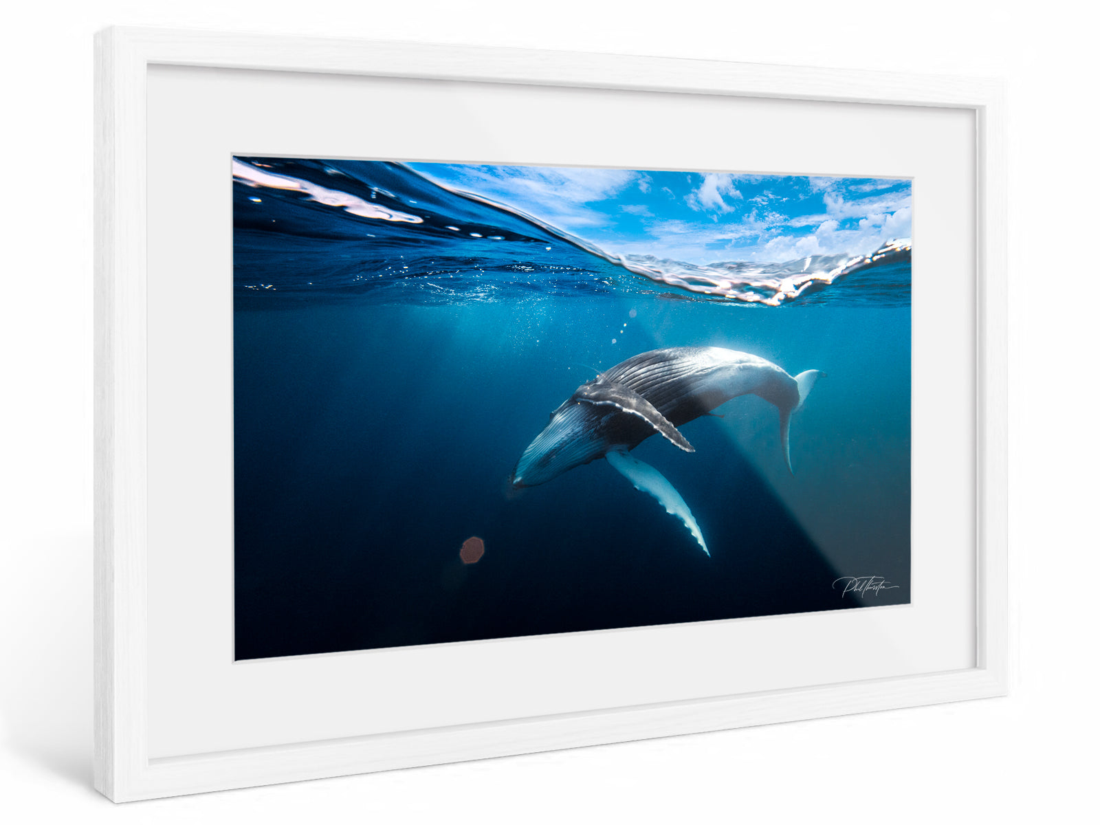 "A Magical Moment" - Fine Art Print