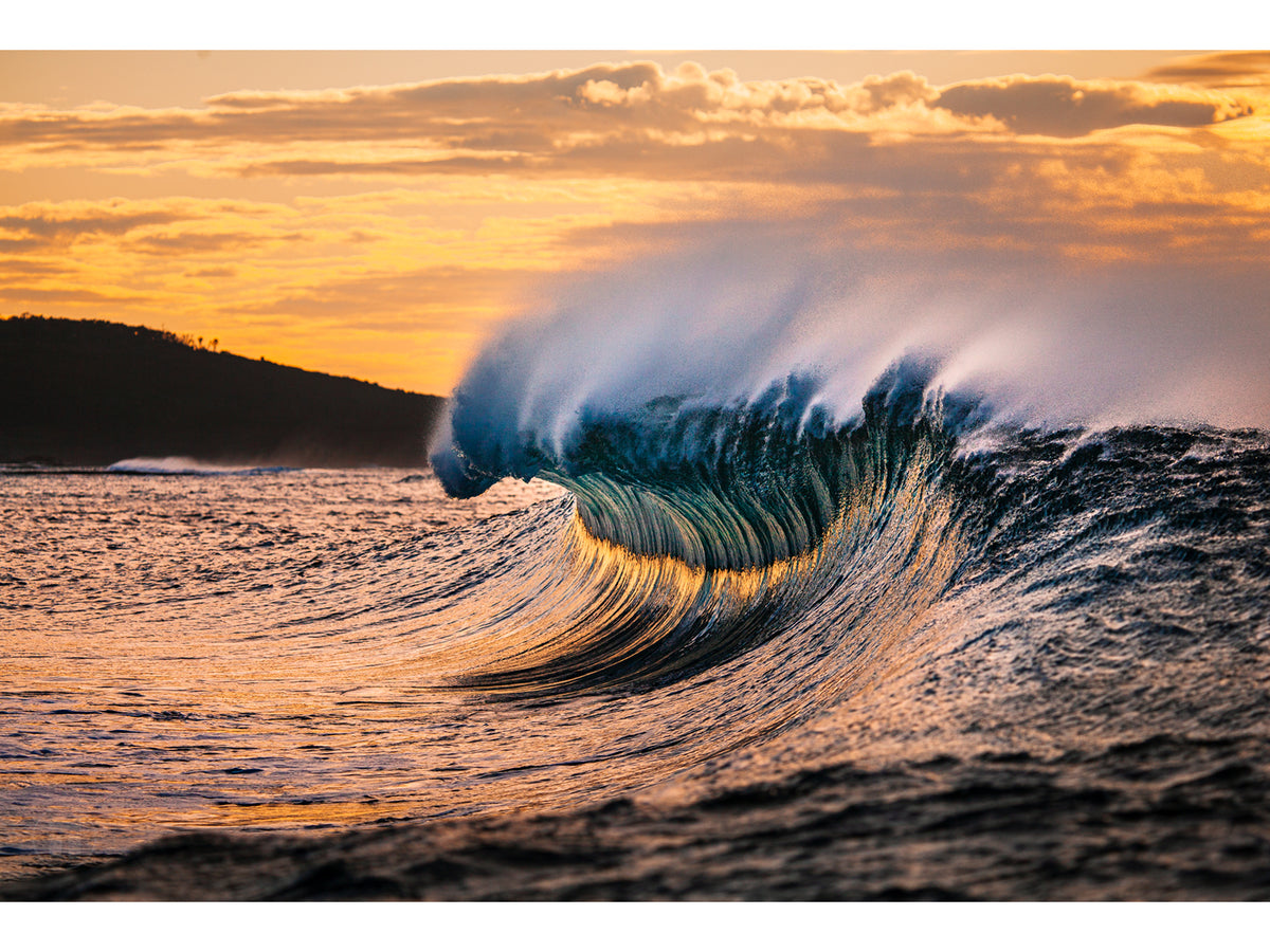 "Ambitious" - Fine Art Print