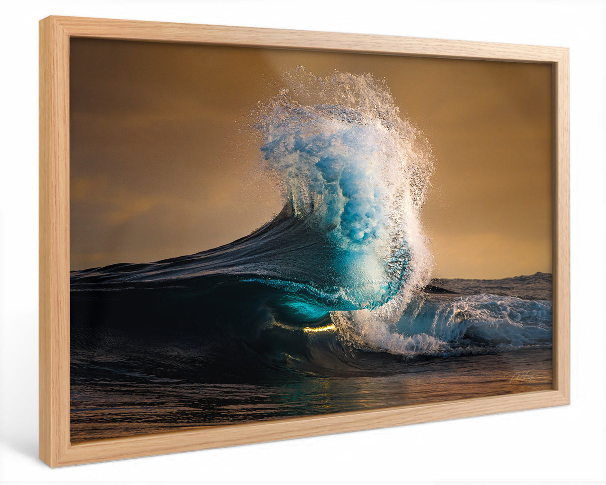 "Blue Jay" - Fine Art Print