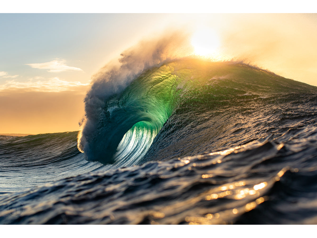 "Creature" - Fine Art Print