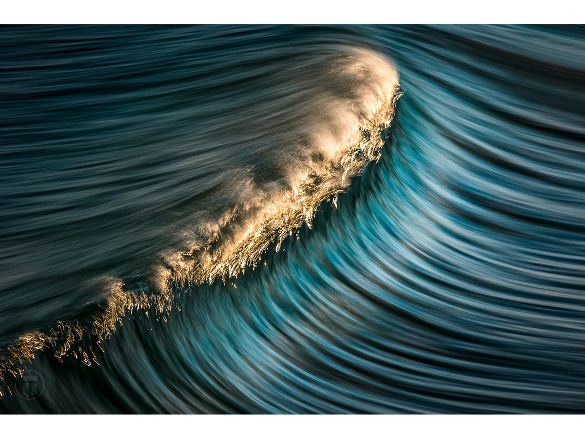 "Crown" - Fine Art Print BOGO