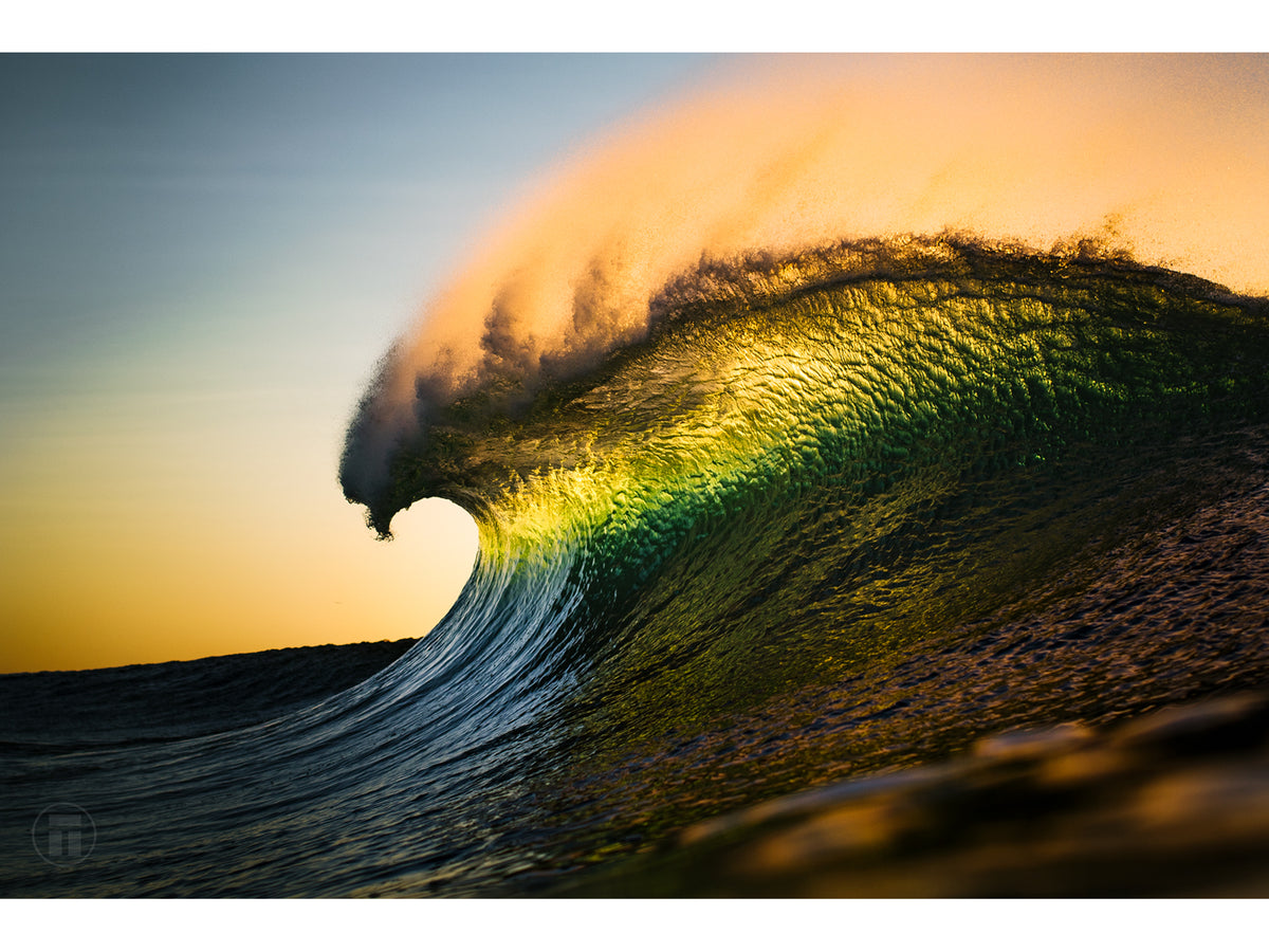 "Curl" - Fine Art Print