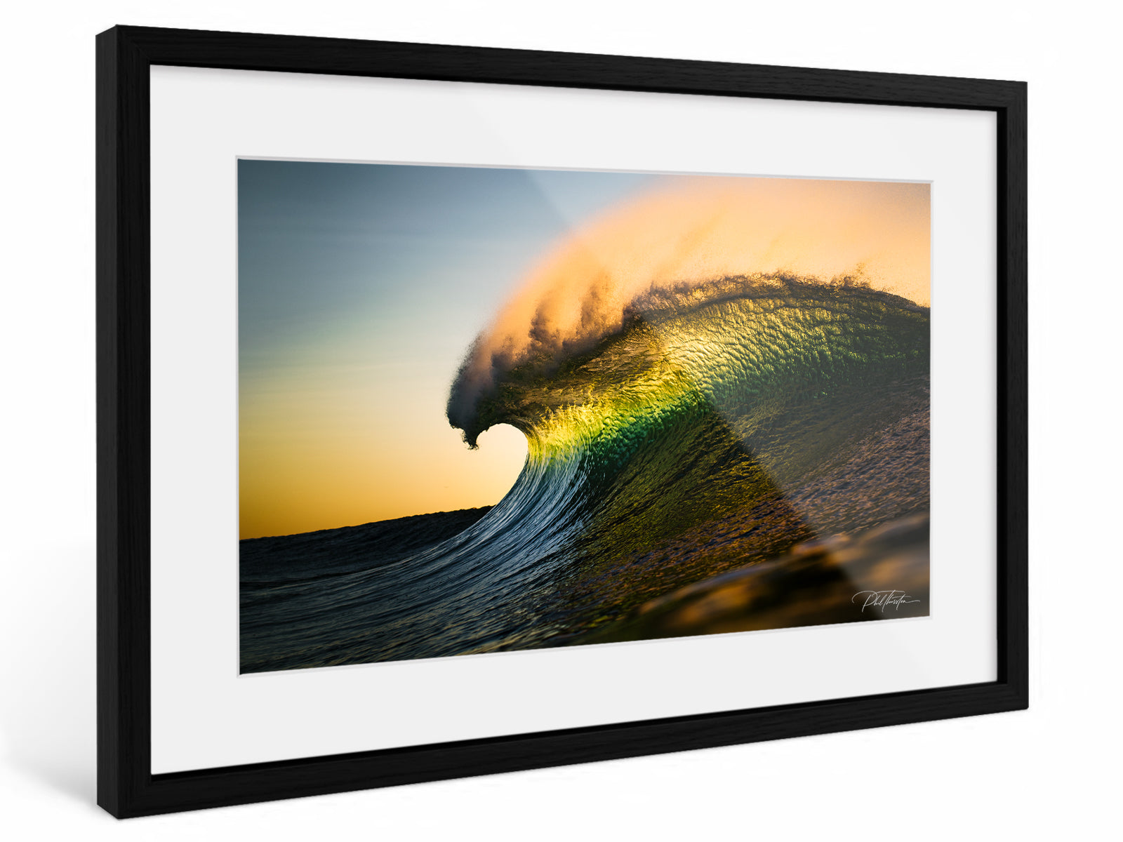 "Curl" - Fine Art Print