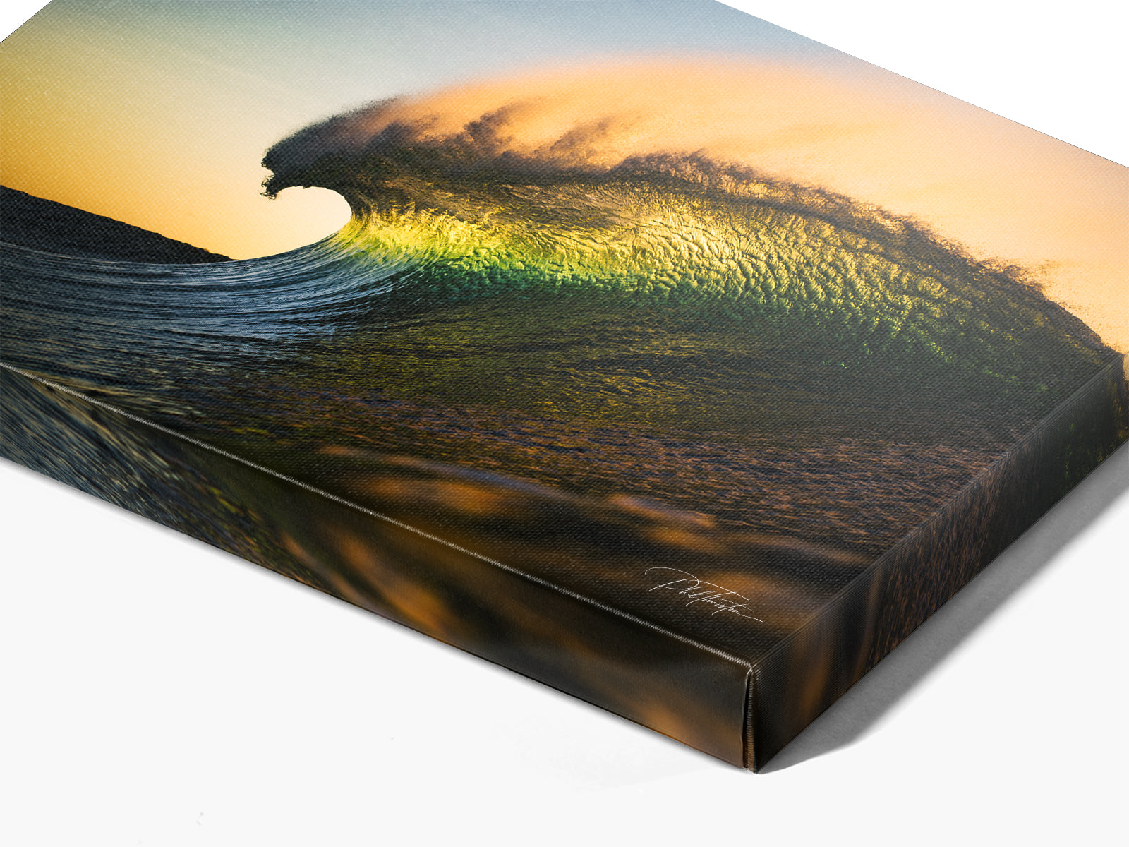 "Curl" - Fine Art Print