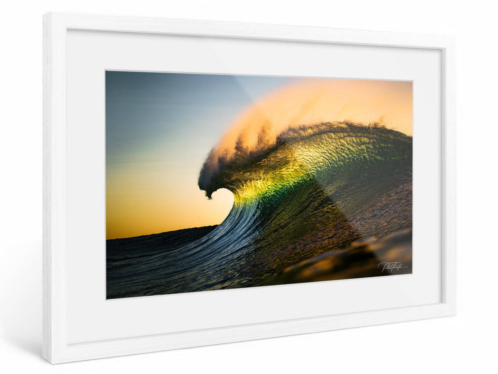 "Curl" - Fine Art Print