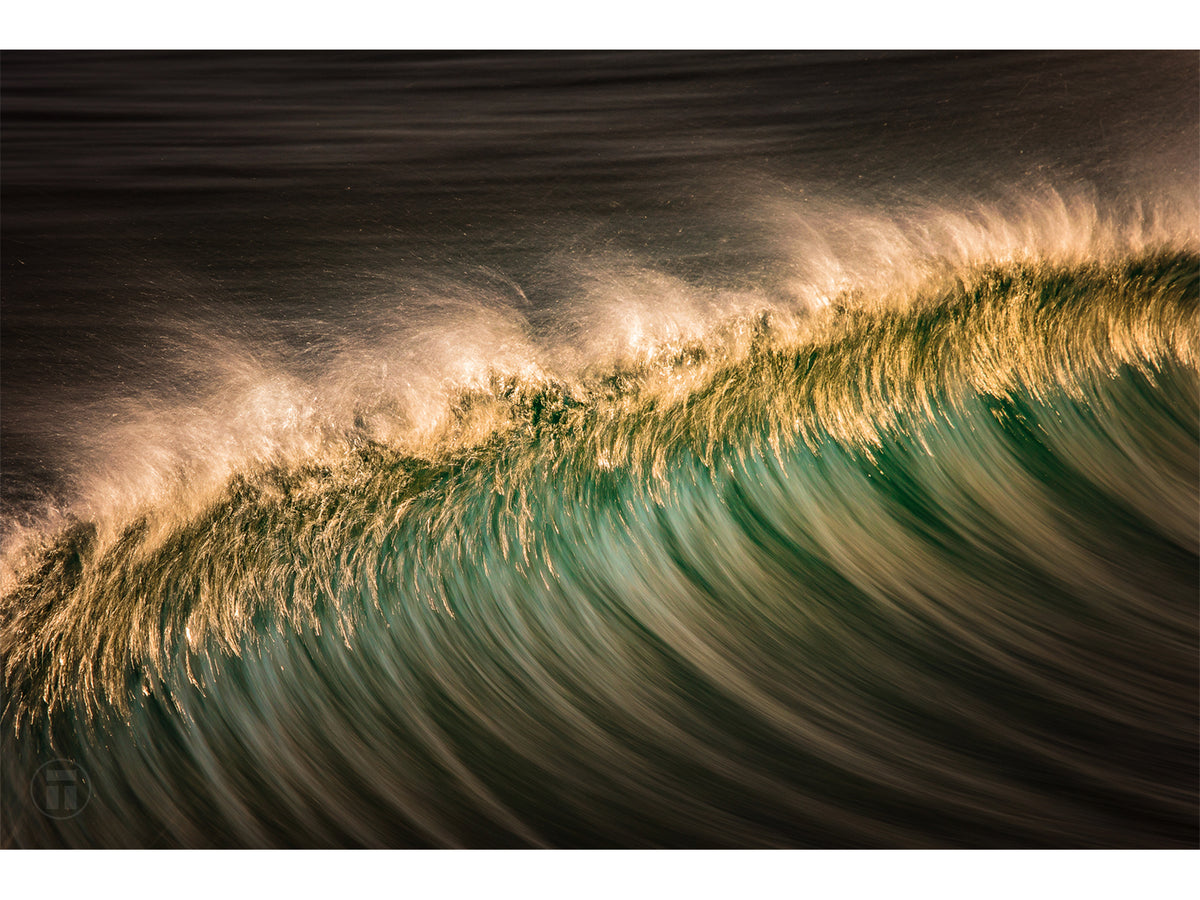 "Feather" - Fine Art Print