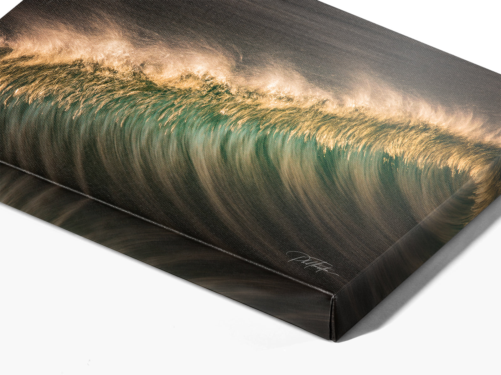 "Feather" - Fine Art Print