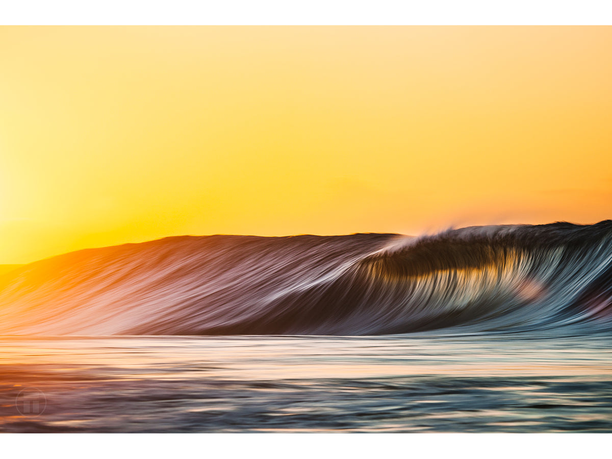 "Fidelity" - Fine Art Print