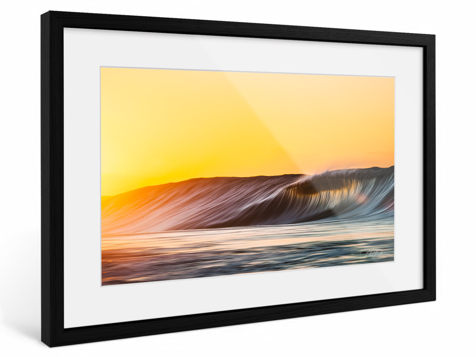 "Fidelity" - Fine Art Print