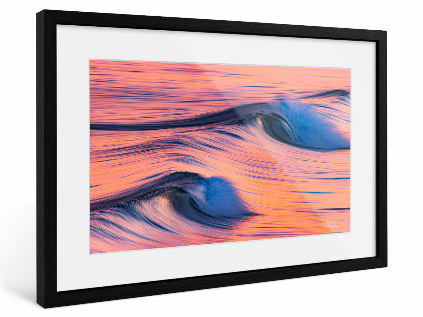 "Flamingos" - Fine Art Print