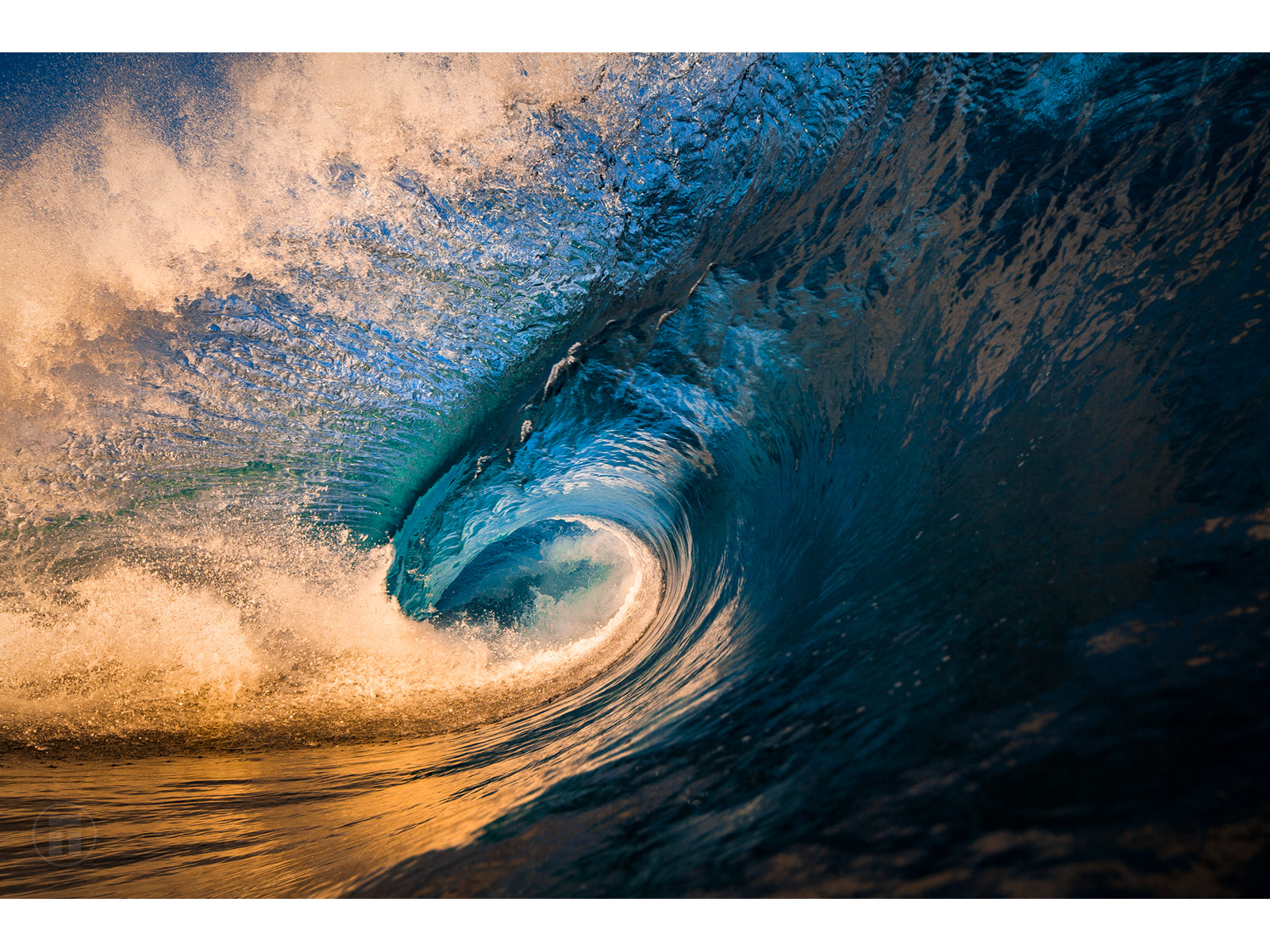 "Golden Swirl" - Fine Art Print