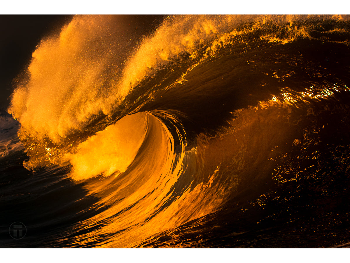 "Heart of Gold" - Fine Art Print