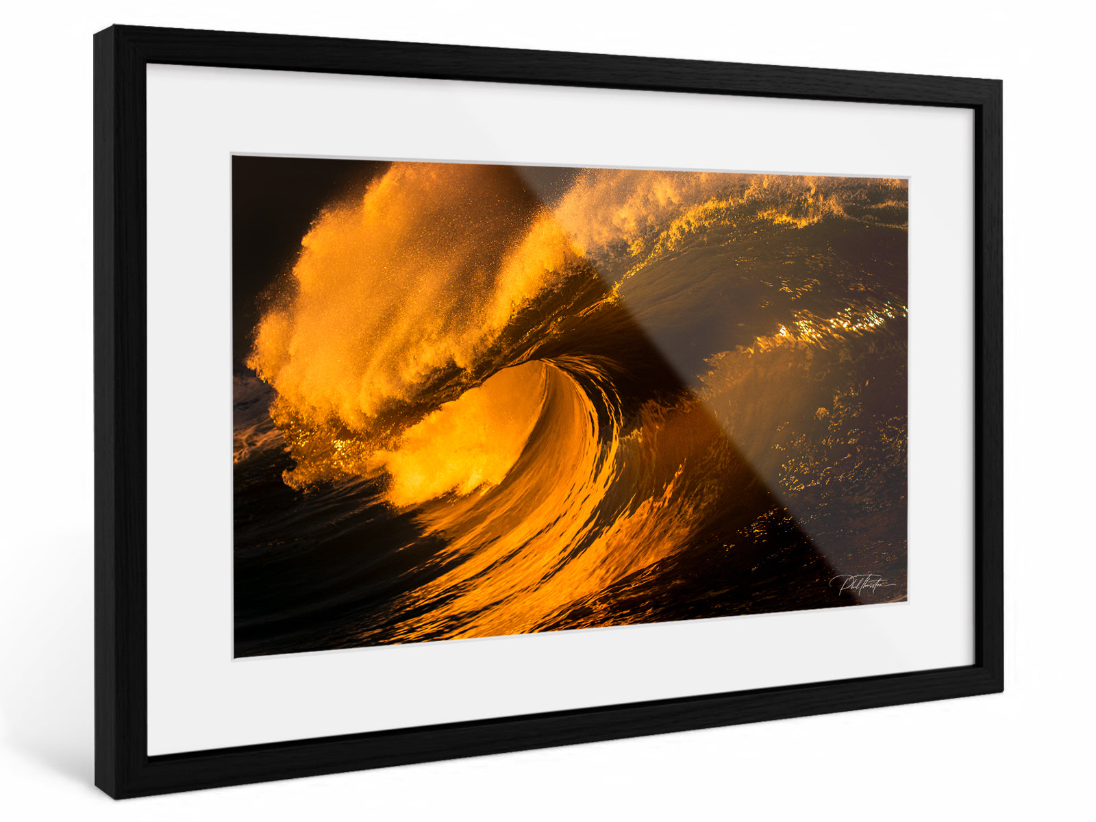 "Heart of Gold" - Fine Art Print
