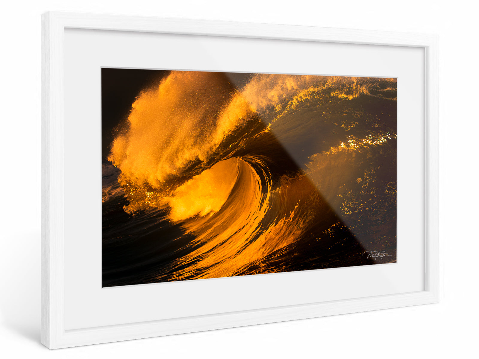 "Heart of Gold" - Fine Art Print