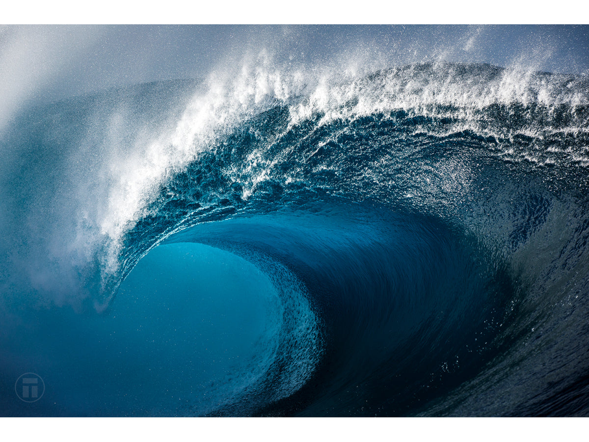 "Heart of the South" - Fine Art Print