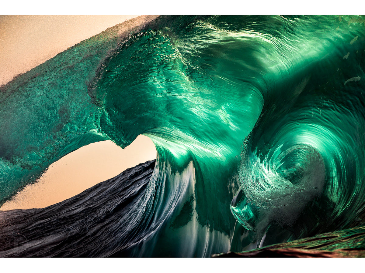 "The Hydra" - Fine Art Print BOGO