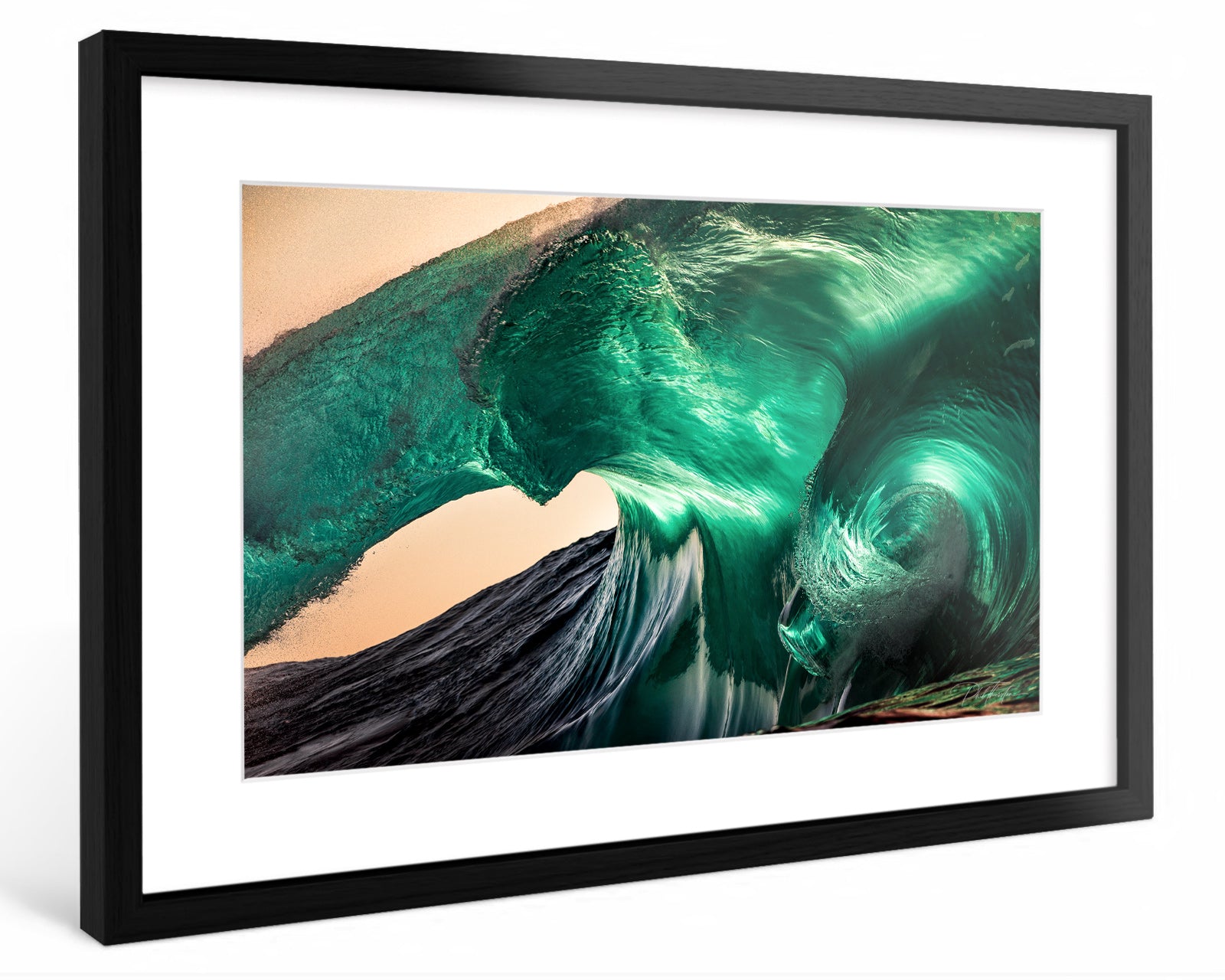 "The Hydra" - Fine Art Print
