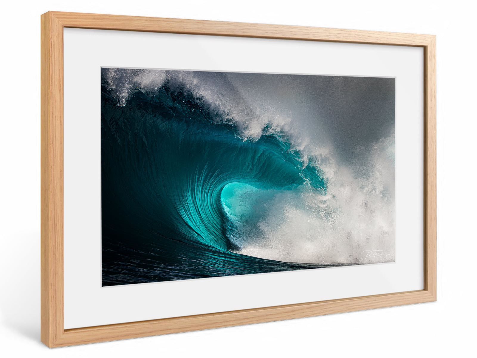 Lesson | The Ocean Collection