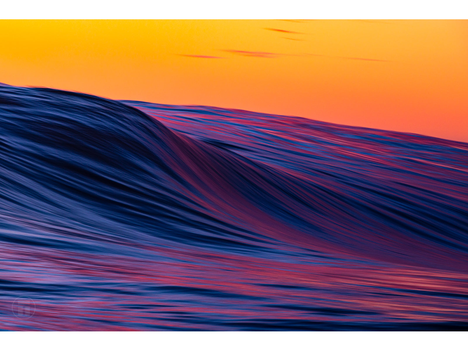 "Magenta Beauty" - Fine Art Print