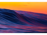 "Magenta Beauty" - Fine Art Print
