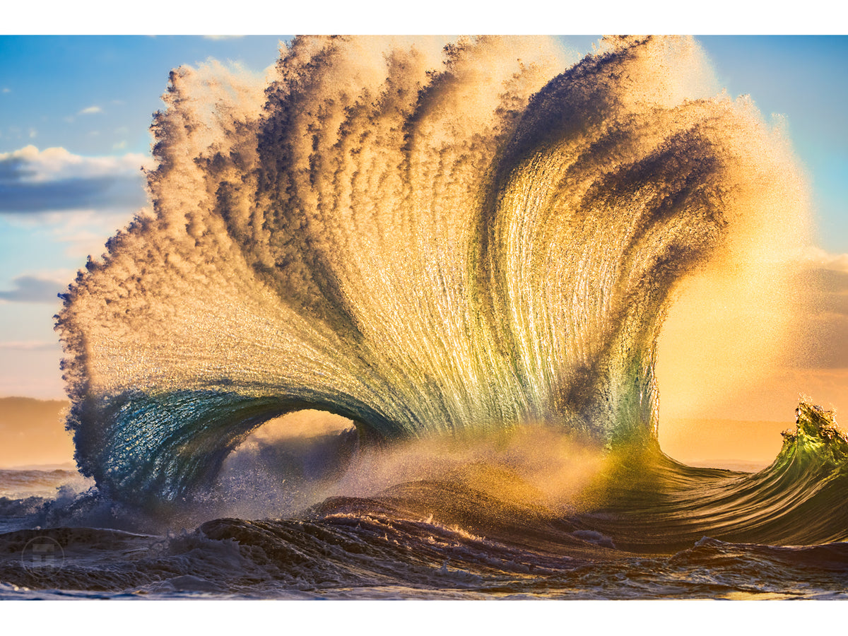 "Mammoth" - Fine Art Print BOGO