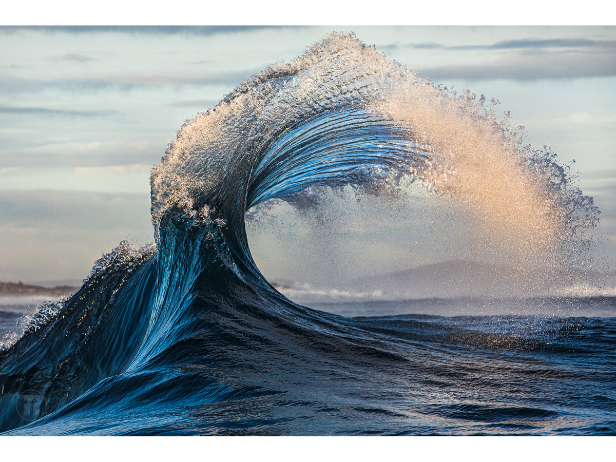 "Melody" Fine Art Print BOGO