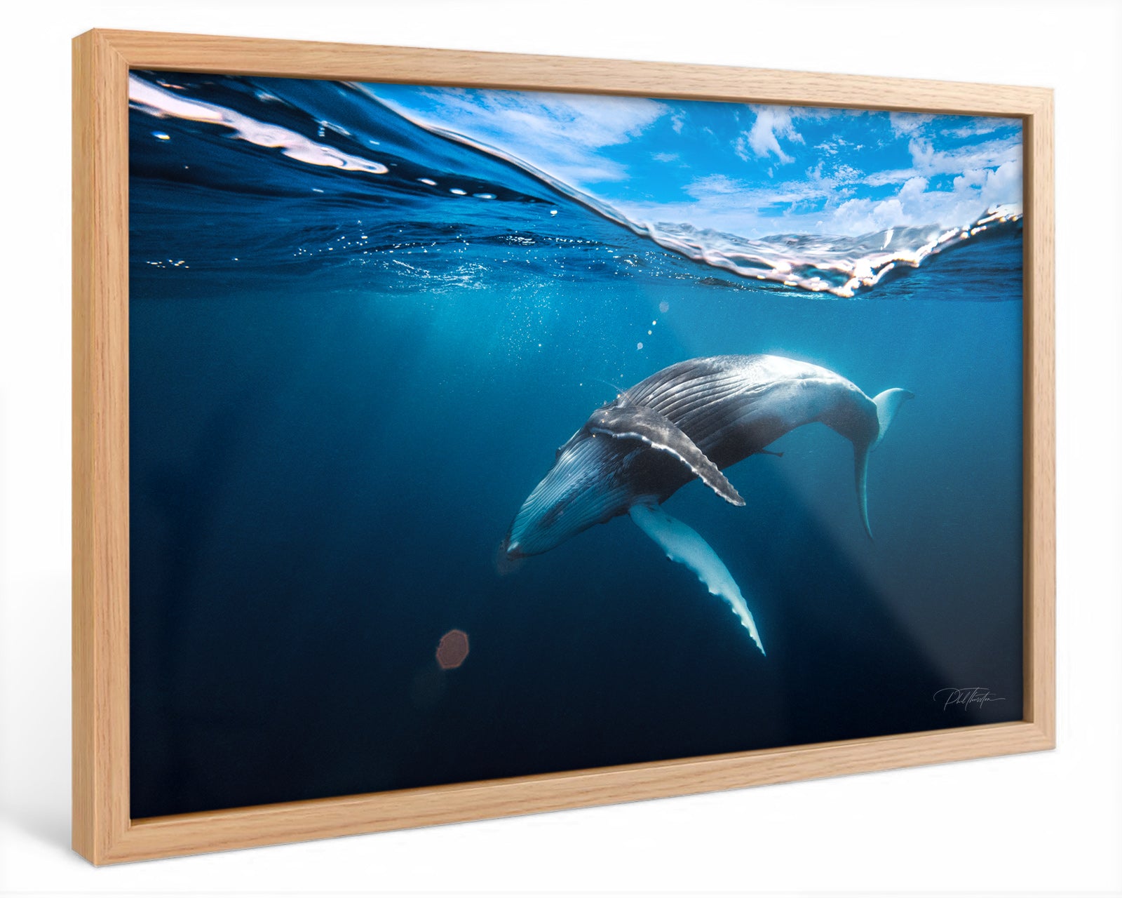 "A Magical Moment" - Fine Art Print