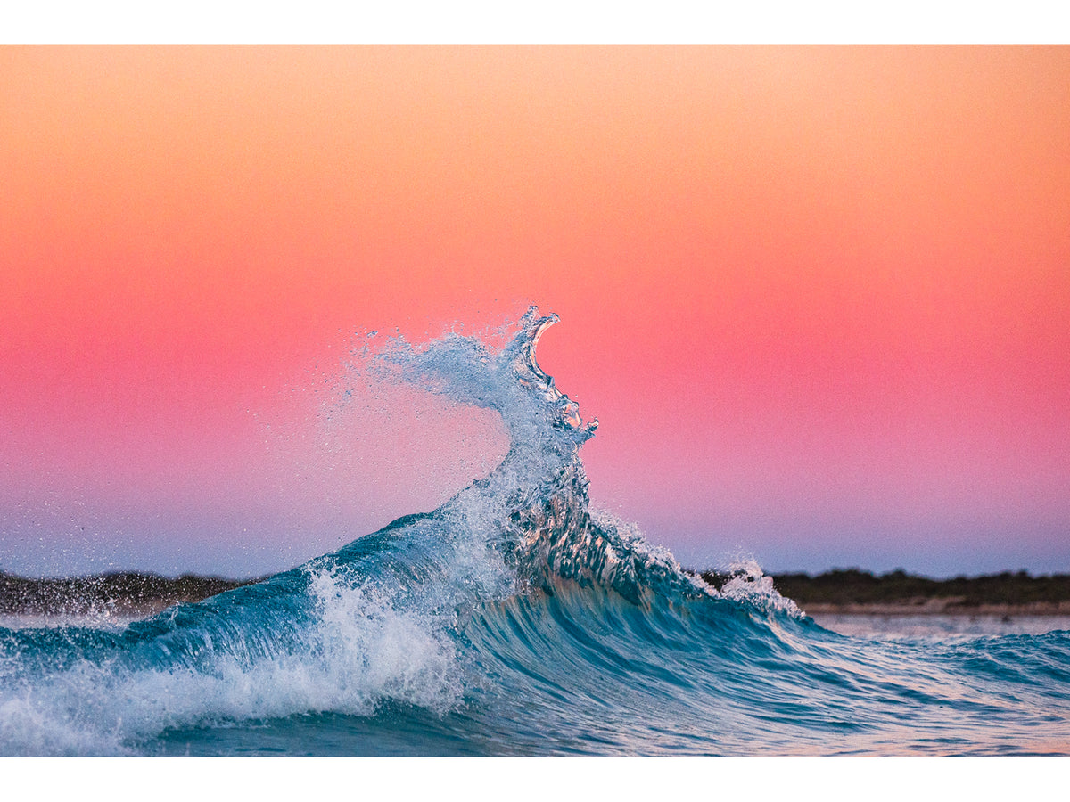 "Pink and Peach" - Fine Art Print