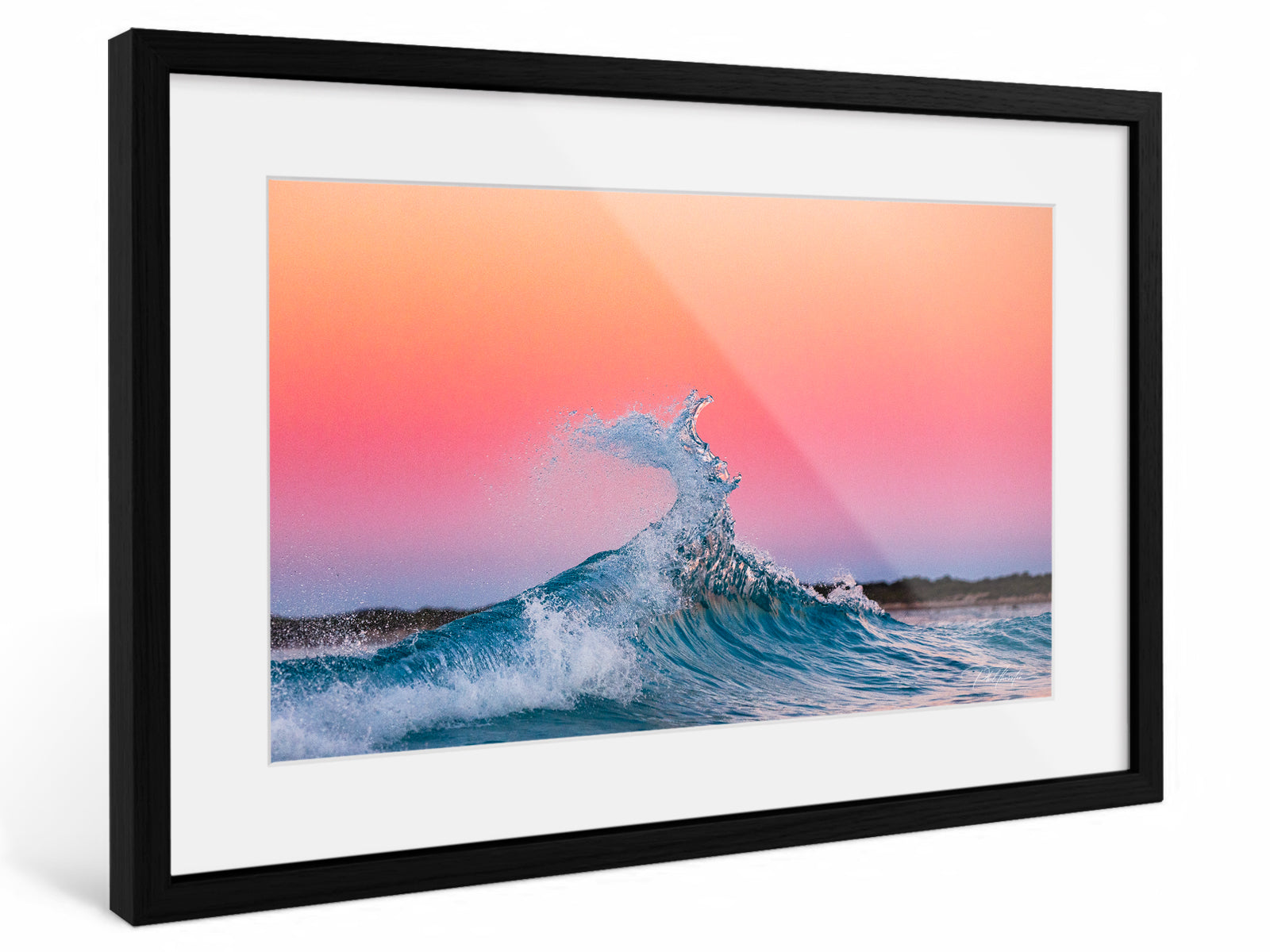 "Pink and Peach" - Fine Art Print