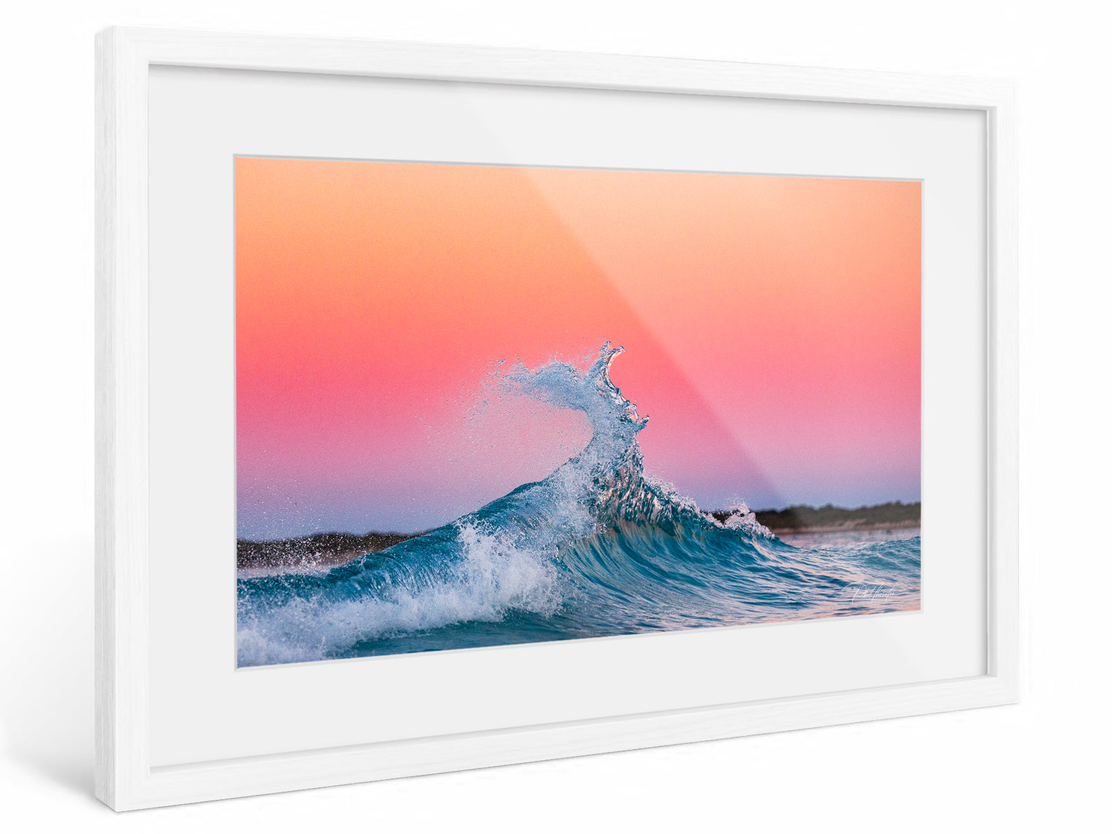 "Pink and Peach" - Fine Art Print