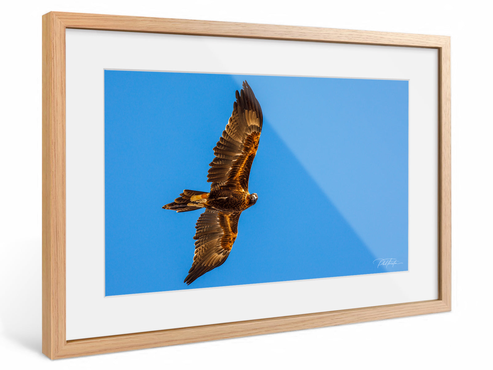 "Presence" - Fine Art Print