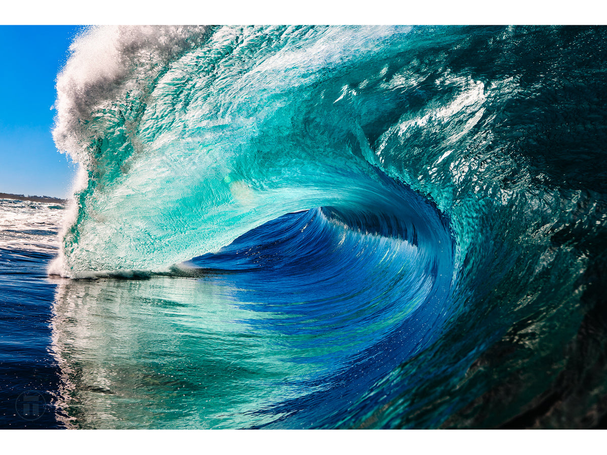 "Purpose" - Fine Art Print