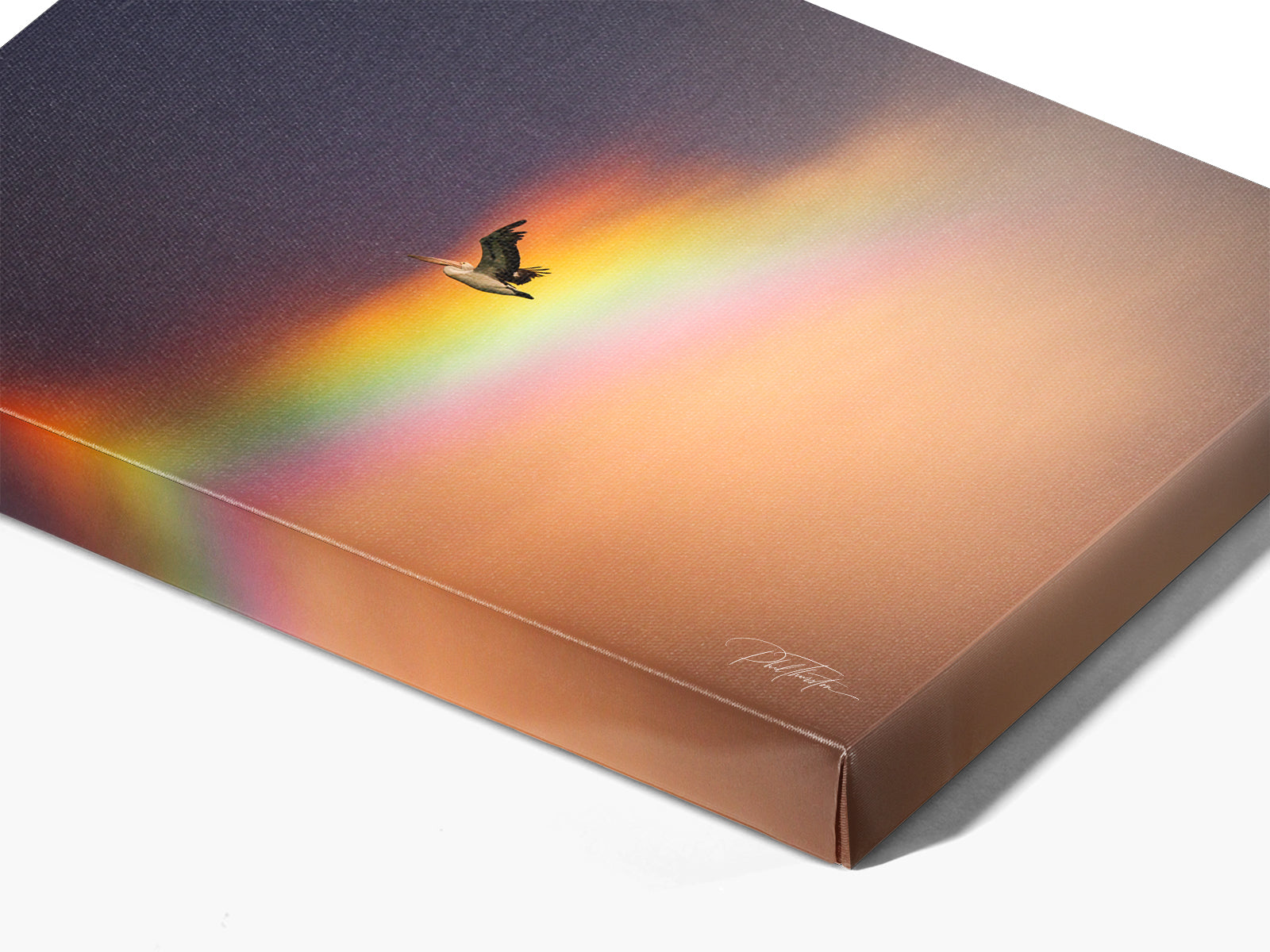 "Rainbow Pelican" - Fine Art Print
