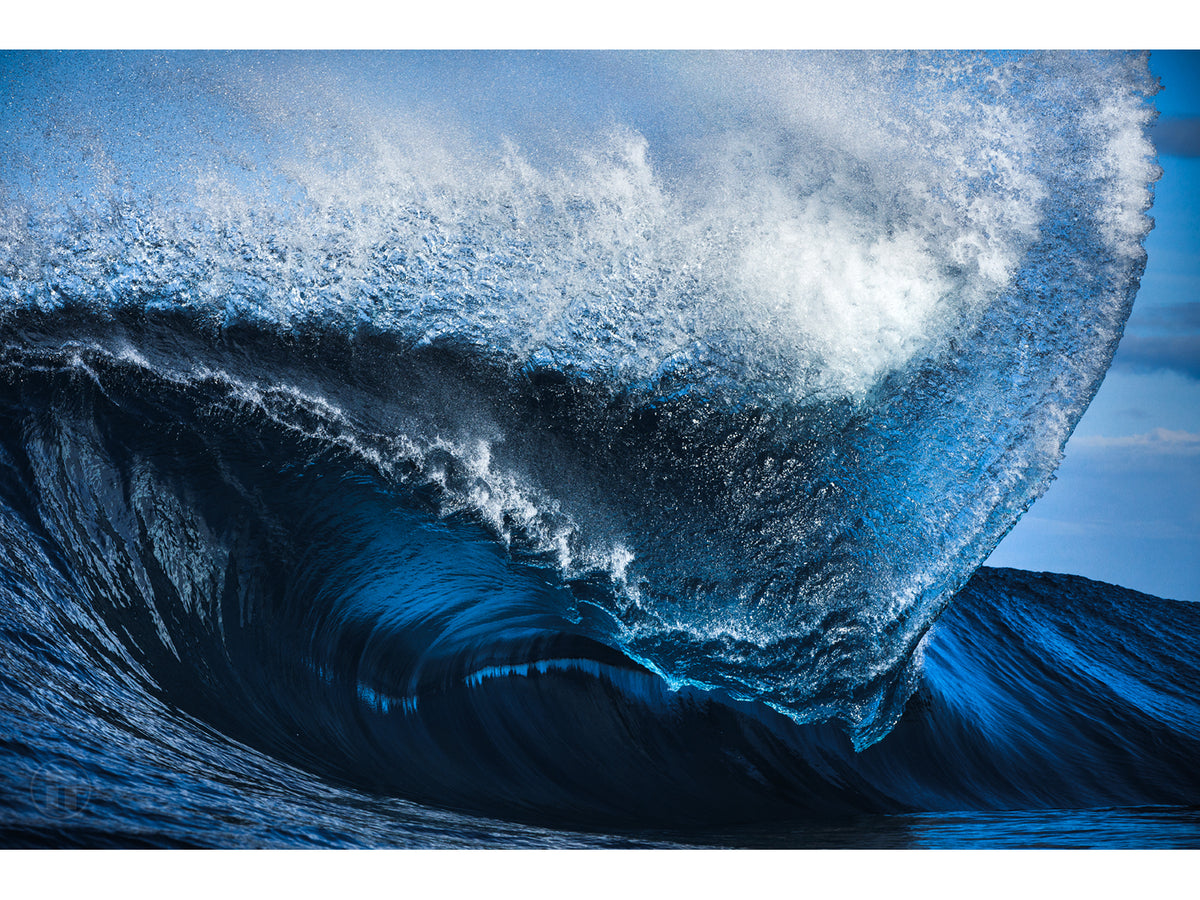 "Rhinoceros" Fine Art Print