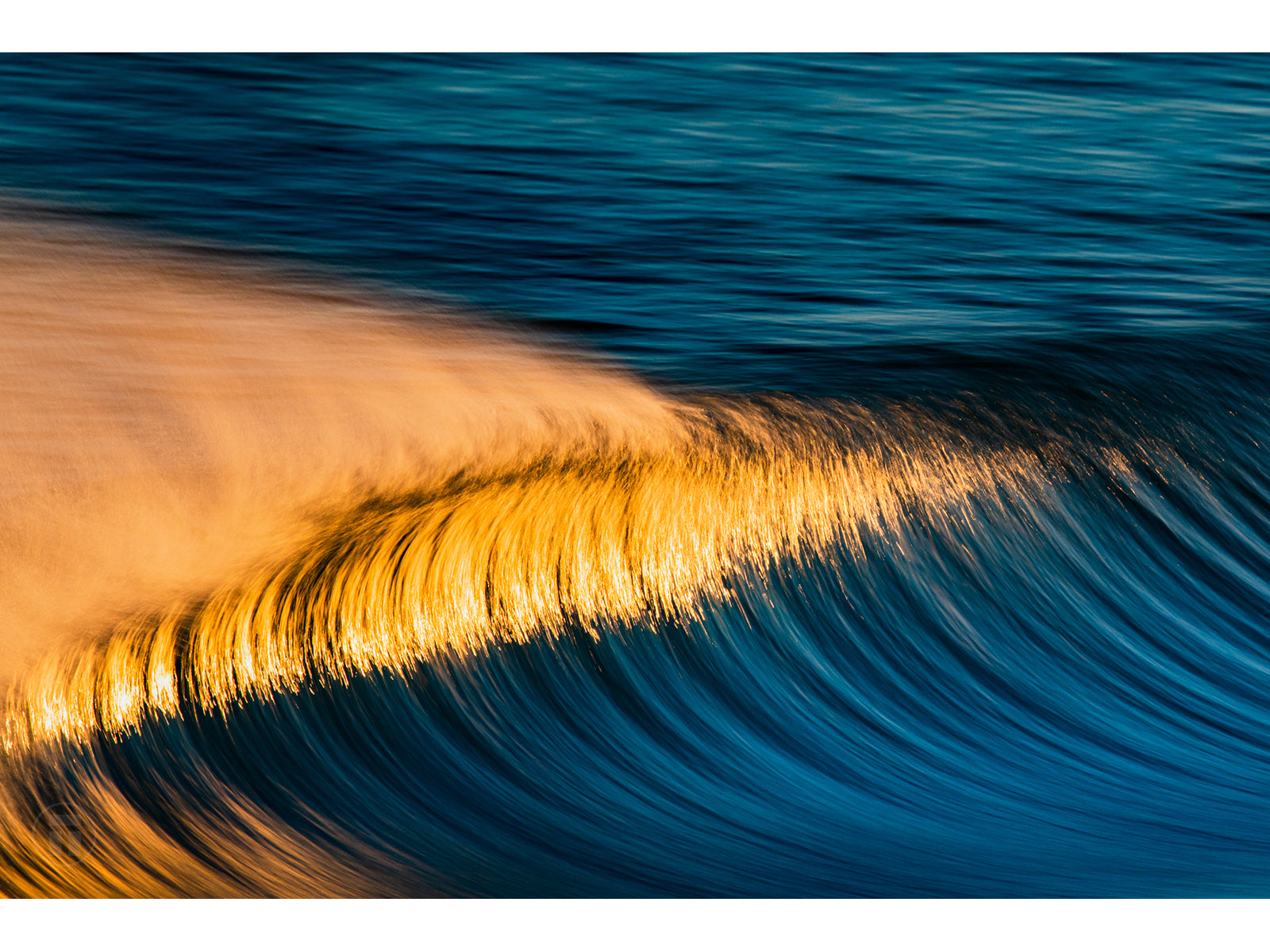 Scintillation | The Flomocean Collection