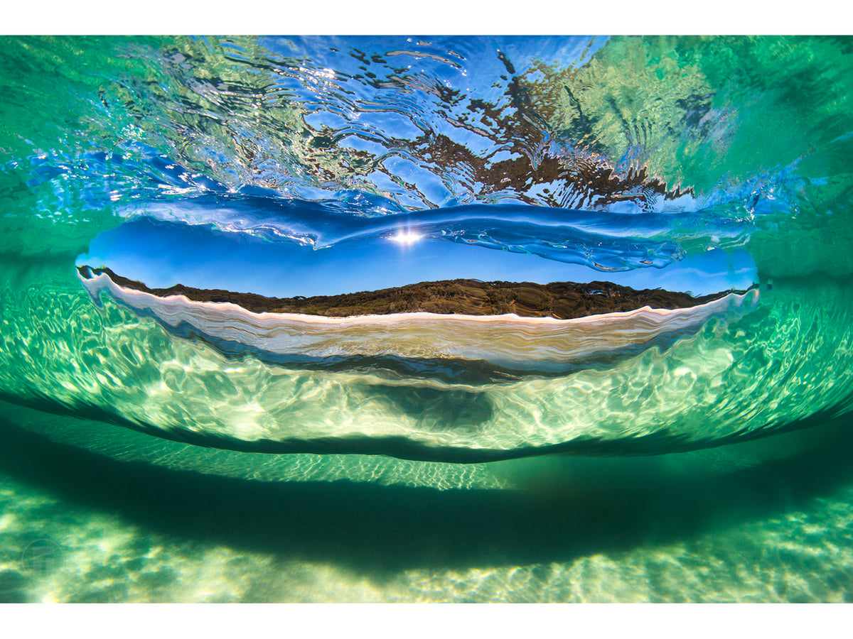 "Sea Through" - Fine Art Print