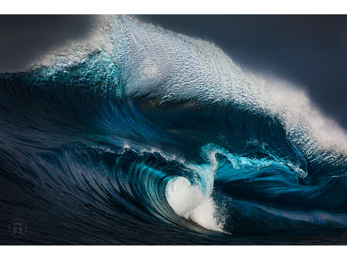 "Sirius" - Fine Art Print